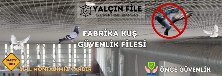 00000001 a3sfdcyu3q2fm 1 768x264